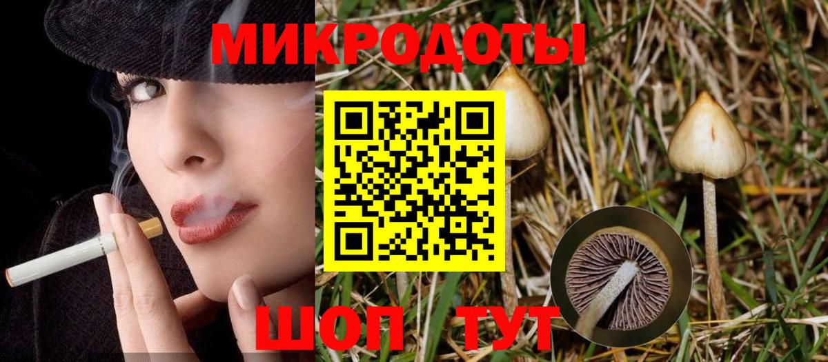 Псилоцибиновые грибы мицелий Туймазы