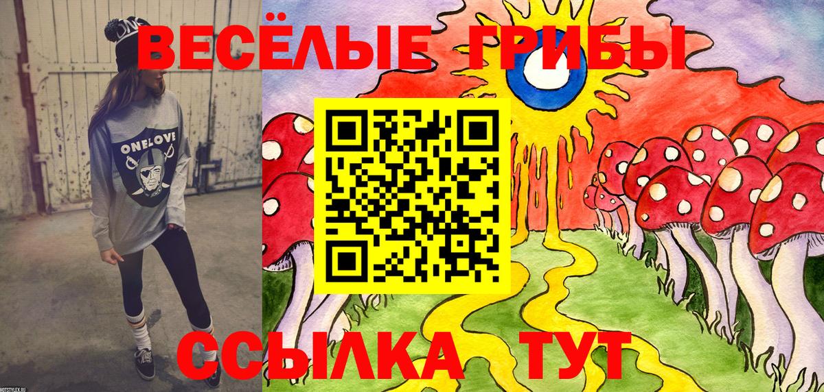 Галлюциногенные грибы MAGIC MUSHROOMS  Вход с VPN  Туймазы  Псилоцибиновые грибы прущие грибы 
