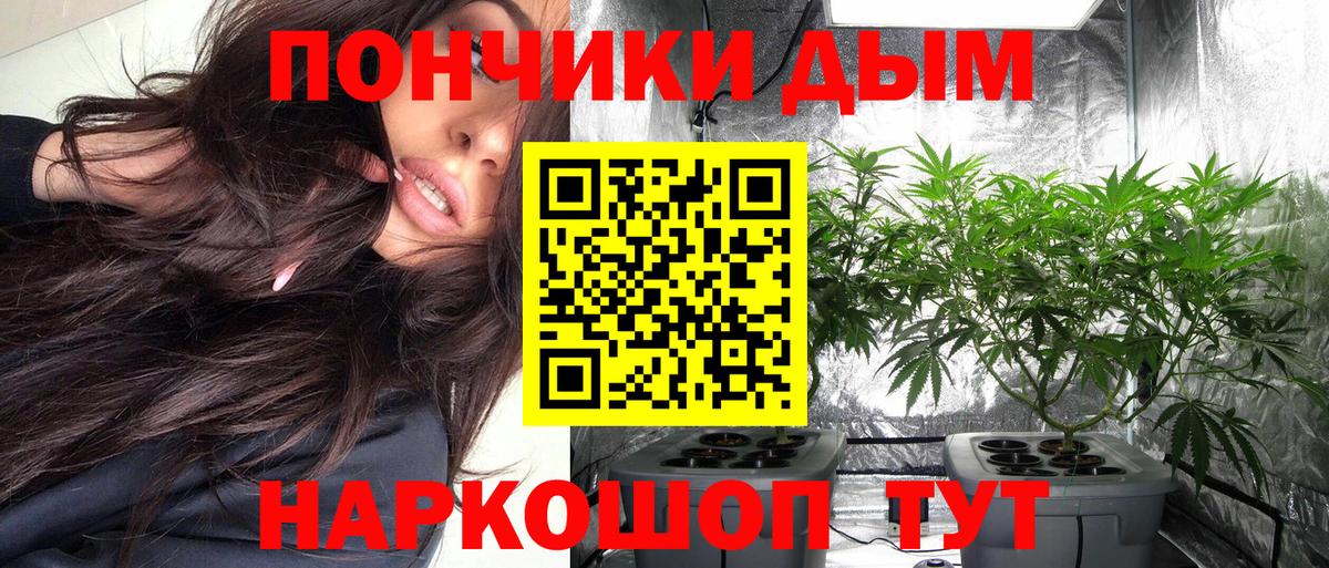 Шишки марихуана гибрид Туймазы